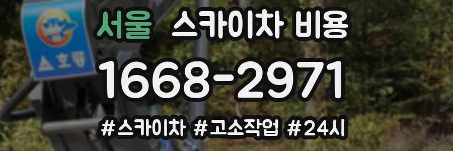 서울 스카이차 비용