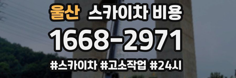 울산 스카이차 비용