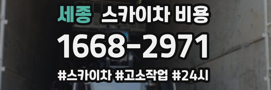 세종 스카이차 비용