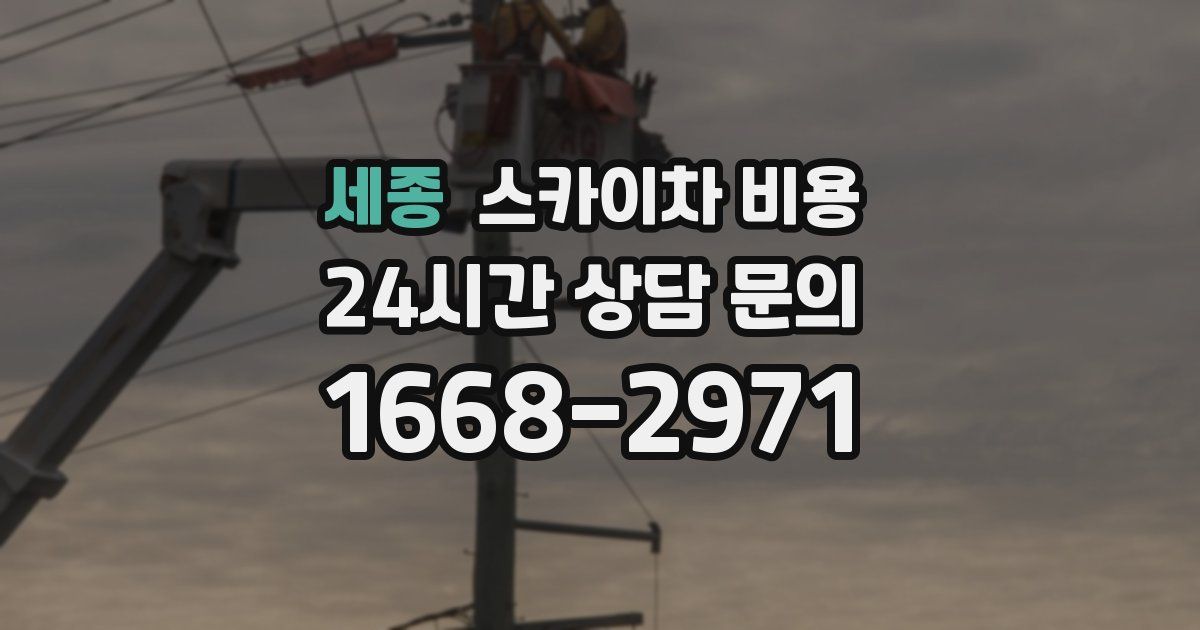 세종 스카이차 비용