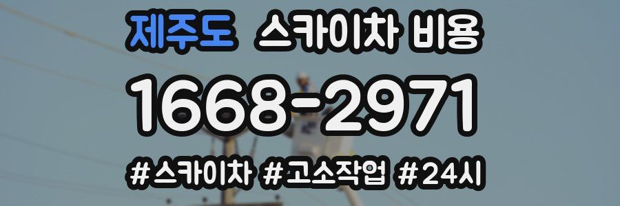 제주도 스카이차 비용