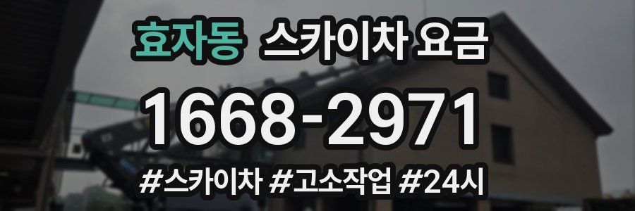 효자동 스카이차 요금