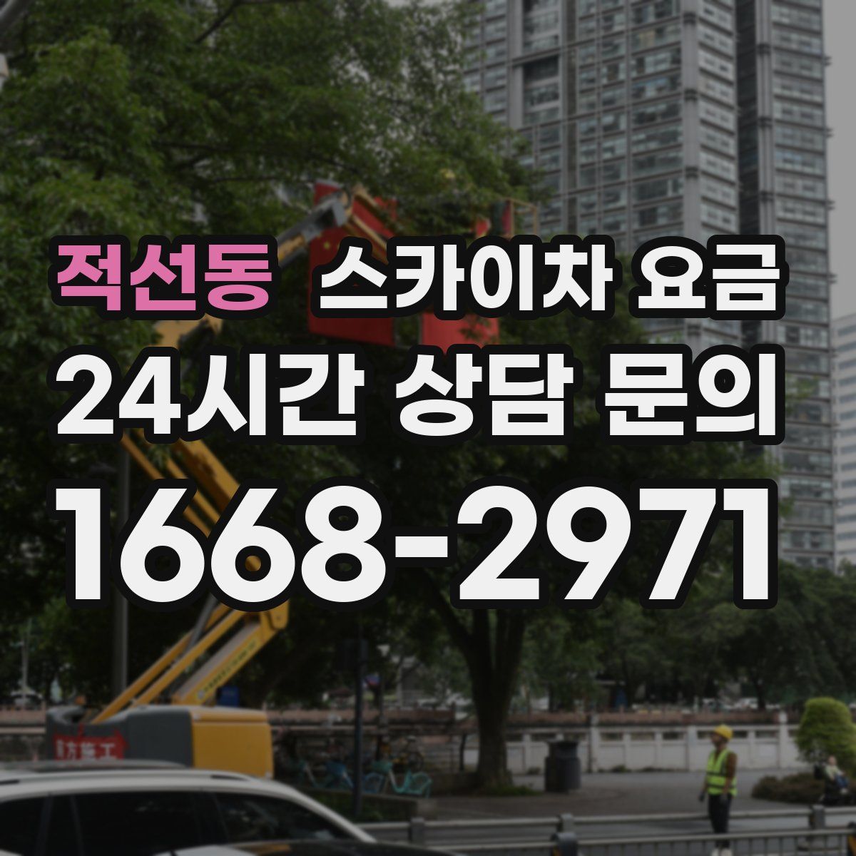 적선동 스카이차 요금