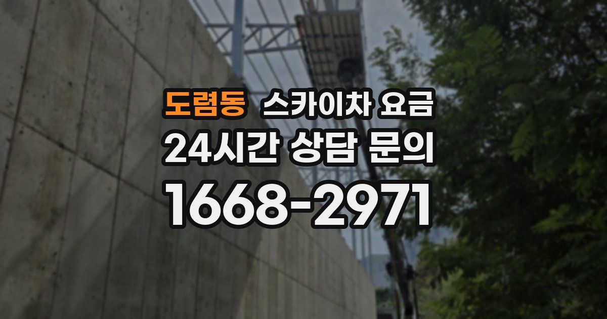 도렴동 스카이차 요금