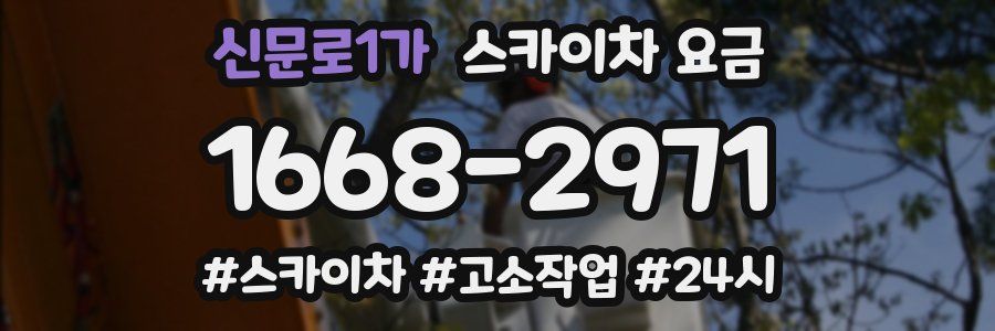 신문로1가 스카이차 요금