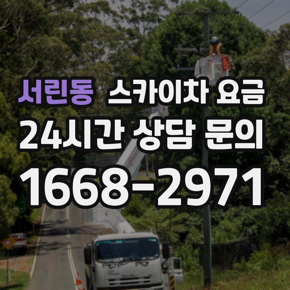 서린동 스카이차 요금