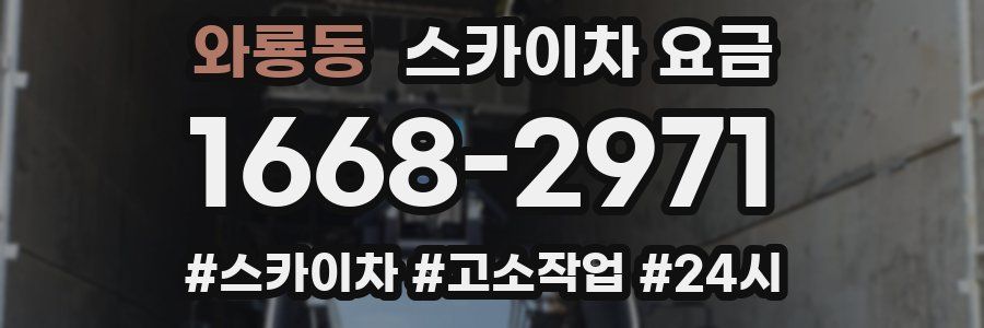 와룡동 스카이차 요금