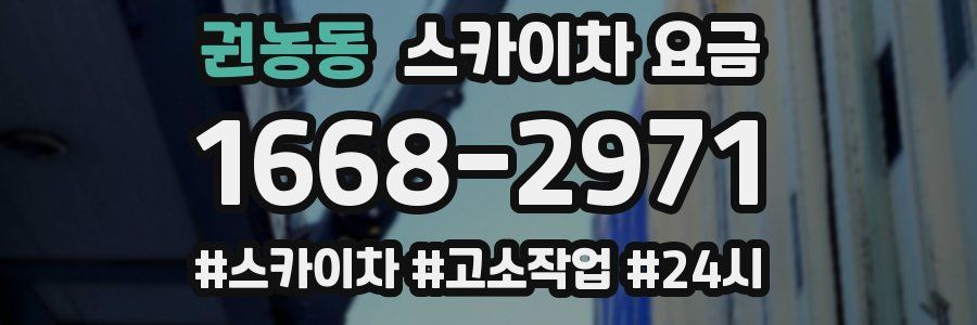 권농동 스카이차 요금