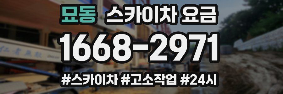 묘동 스카이차 요금