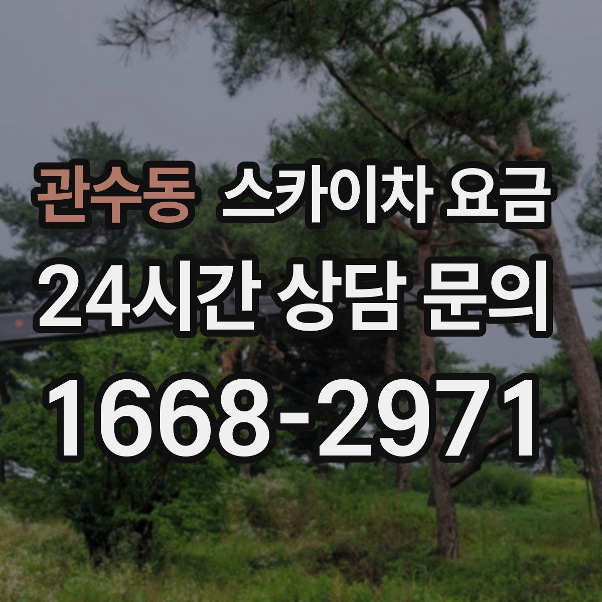 관수동 스카이차 요금