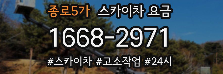 종로5가 스카이차 요금