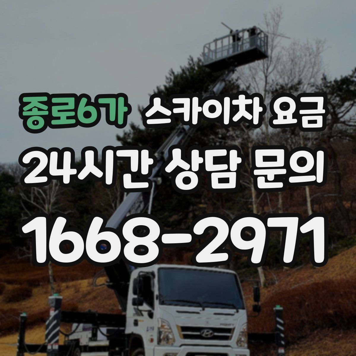 종로6가 스카이차 요금