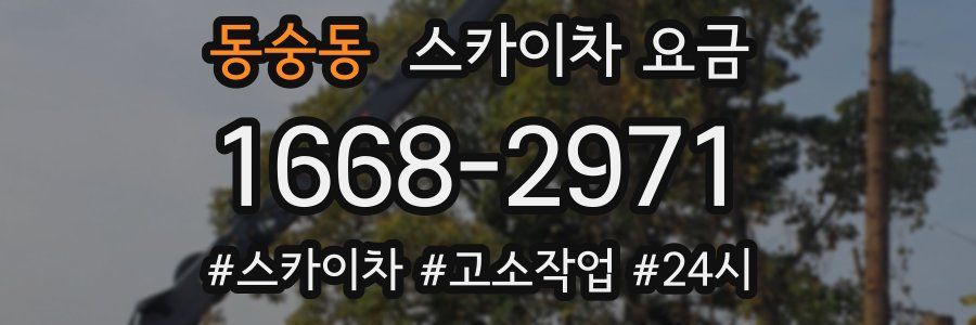 동숭동 스카이차 요금