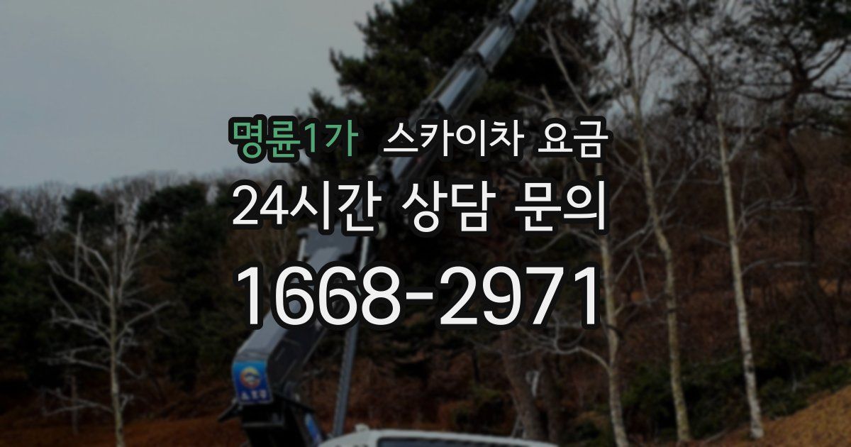 명륜1가 스카이차 요금