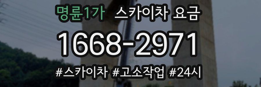 명륜1가 스카이차 요금