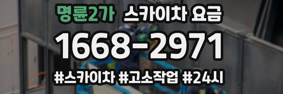 명륜2가 스카이차 요금
