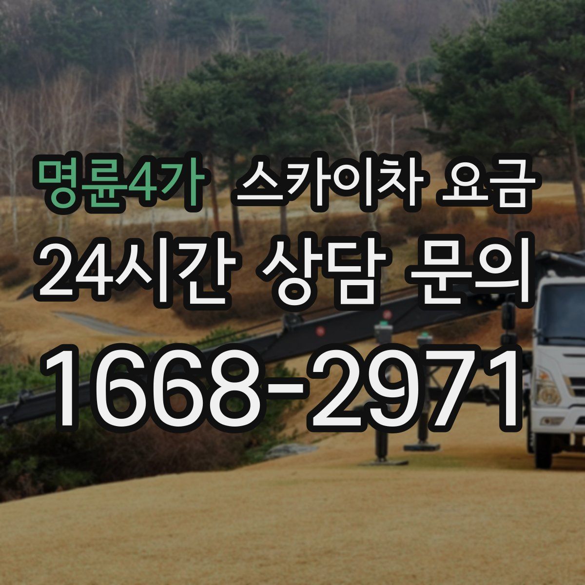명륜4가 스카이차 요금