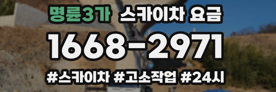 명륜3가 스카이차 요금