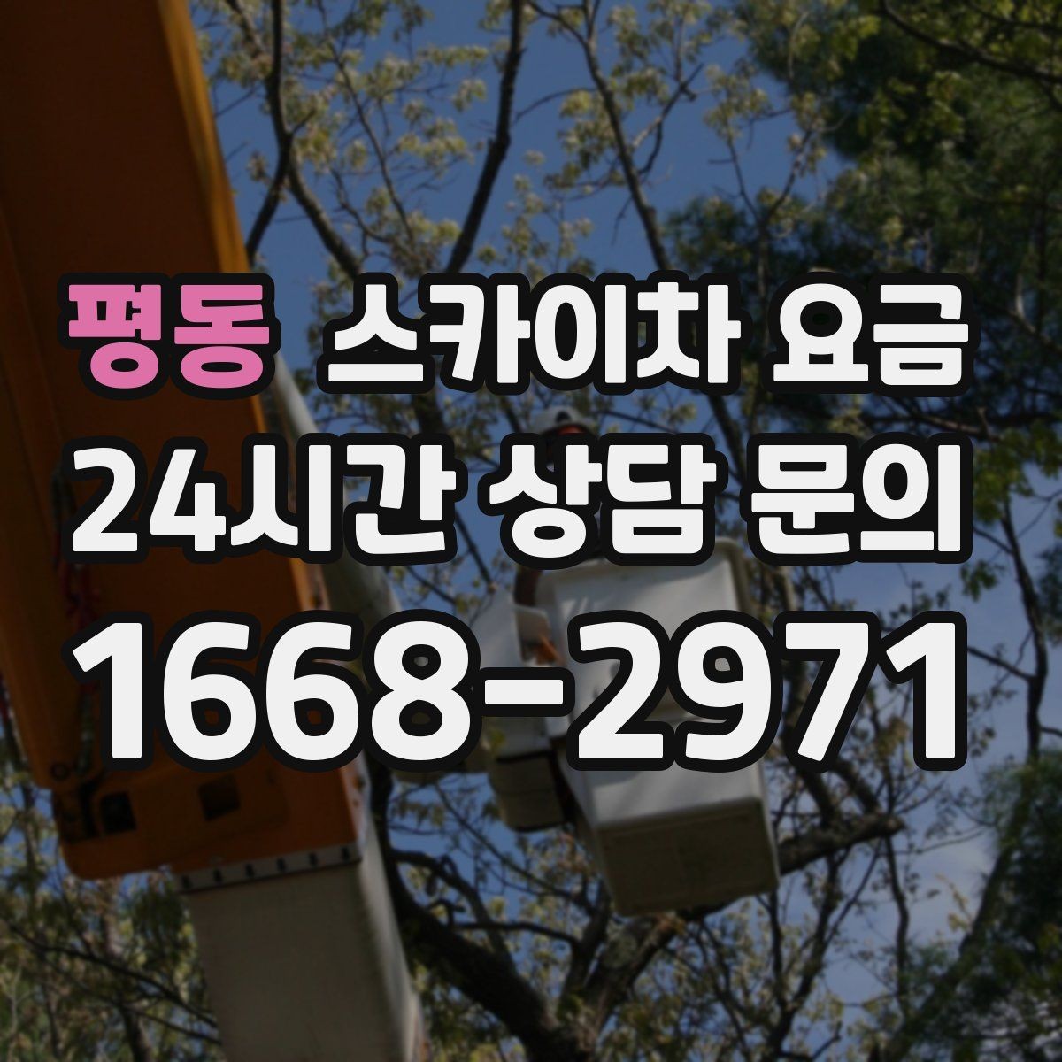 평동 스카이차 요금 결국 요금은 '현장 조건'이 좌우합니다