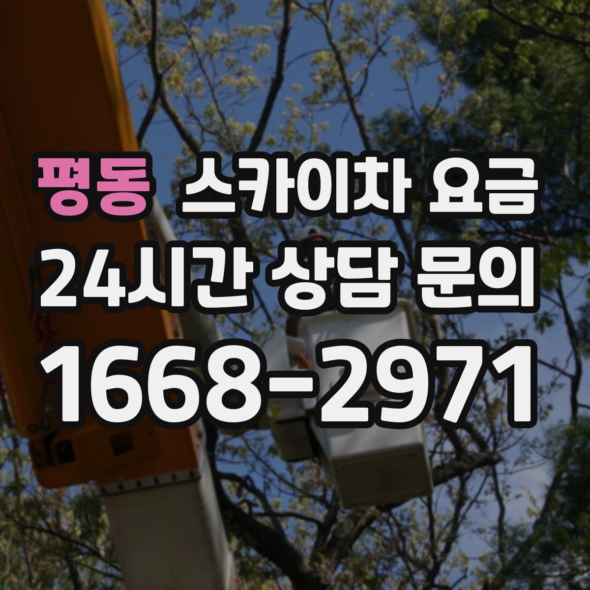 평동 스카이차 요금