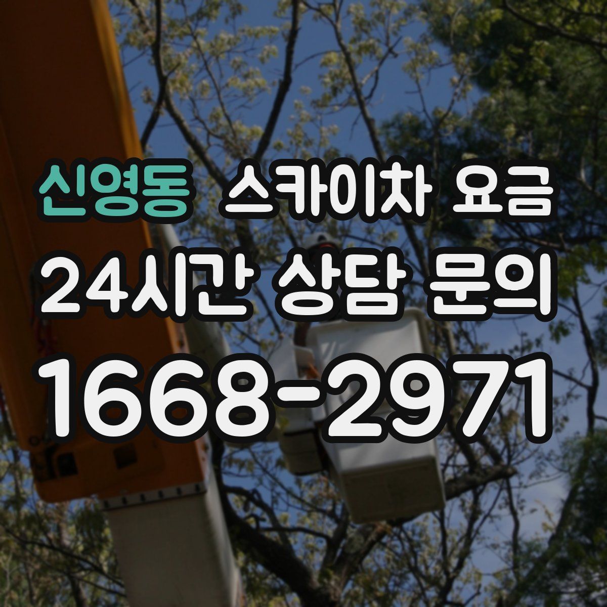 신영동 스카이차 요금