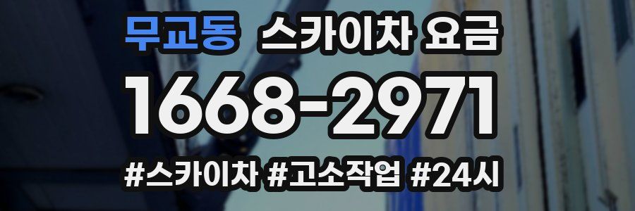 무교동 스카이차 요금