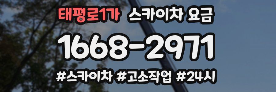 태평로1가 스카이차 요금