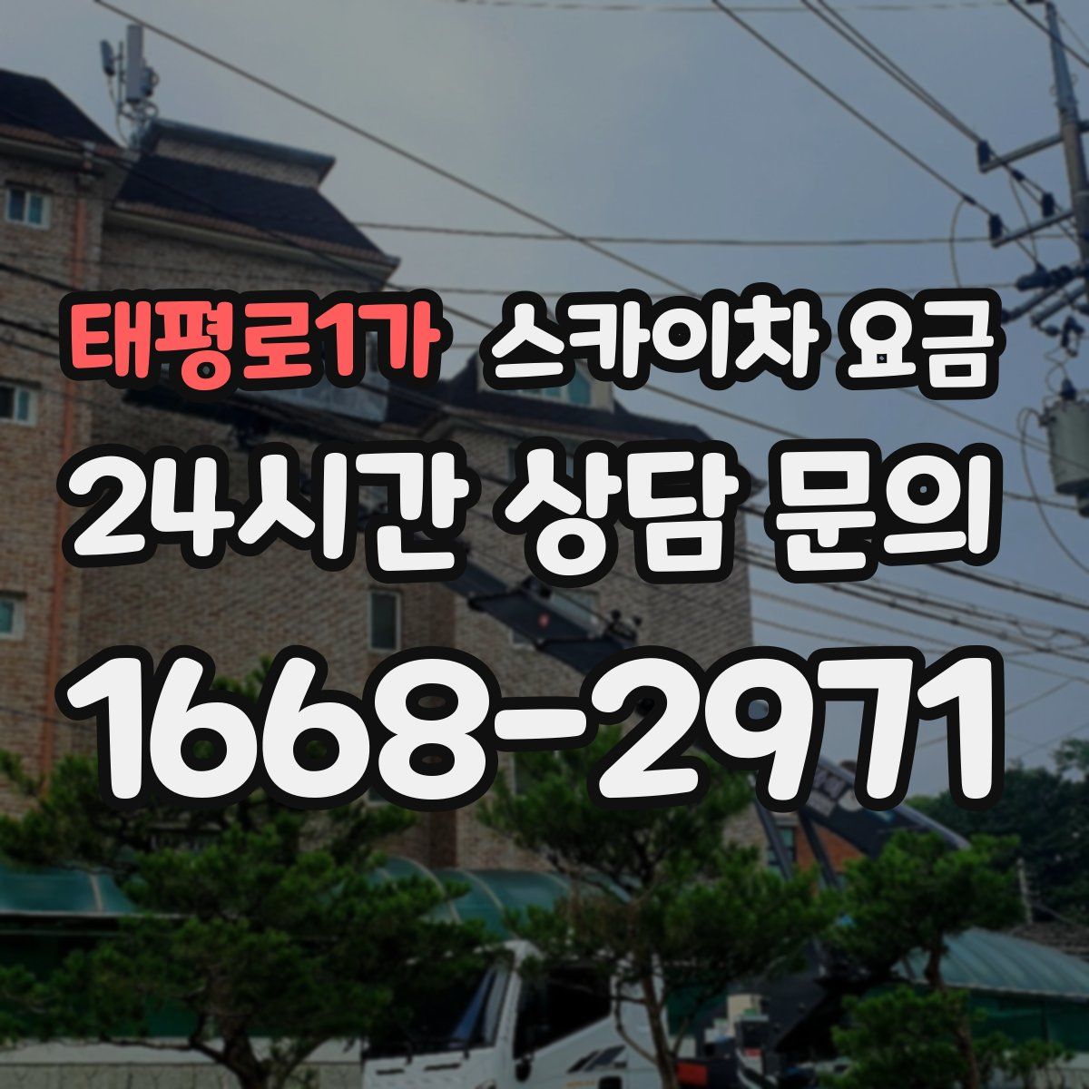 태평로1가 스카이차 요금