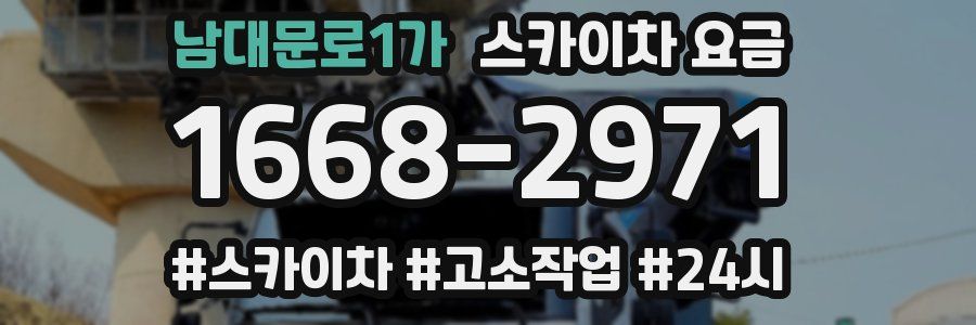 남대문로1가 스카이차 요금
