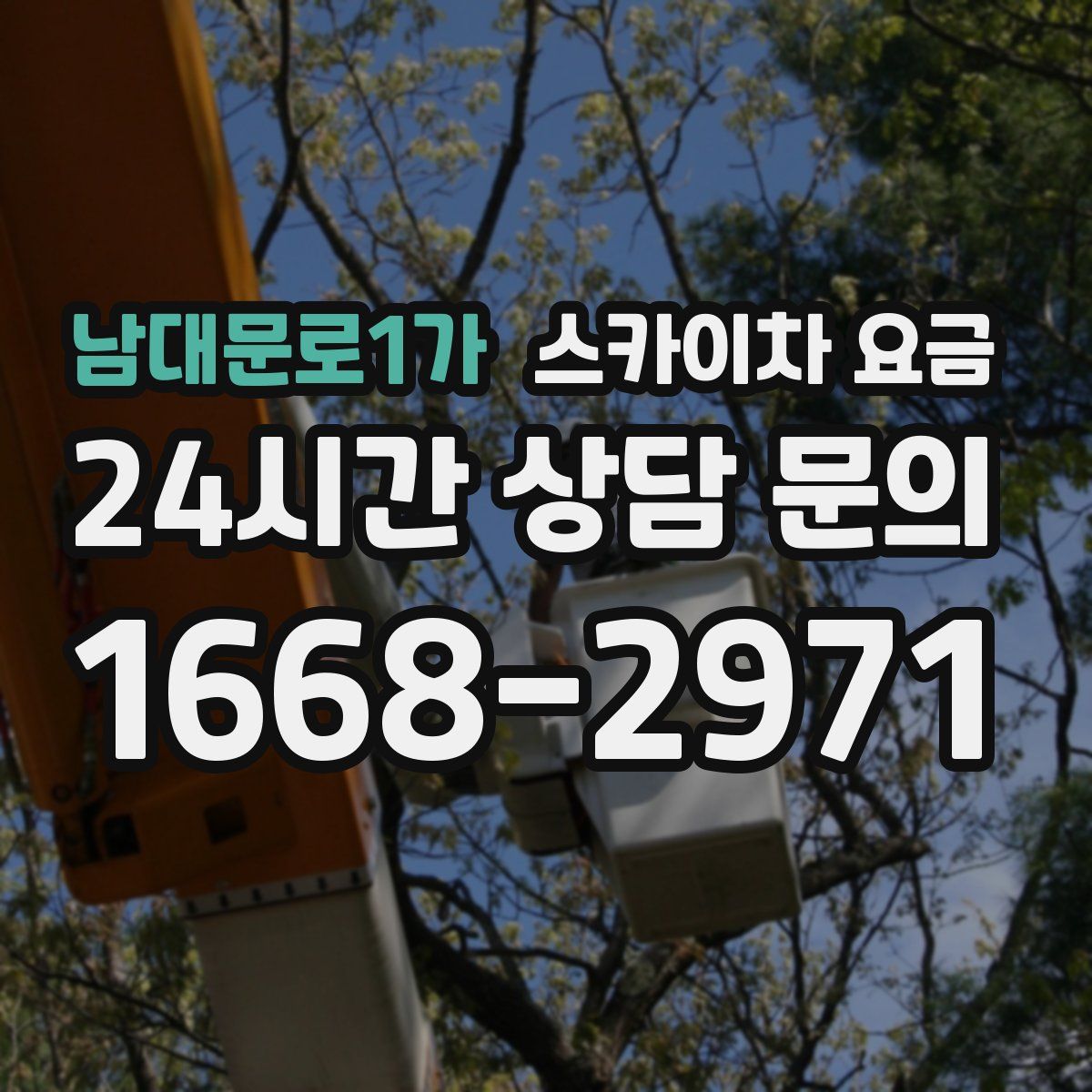 남대문로1가 스카이차 요금