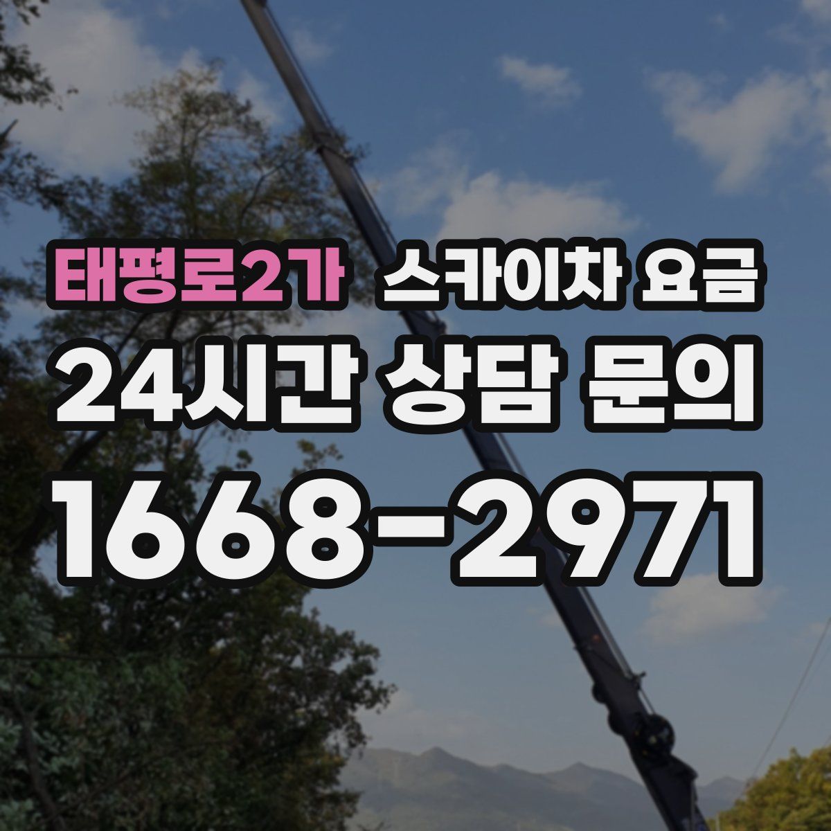 태평로2가 스카이차 요금