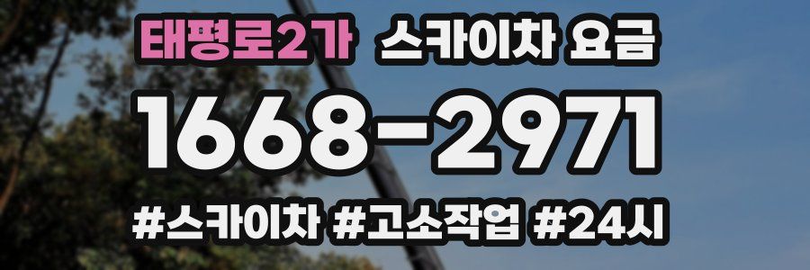 태평로2가 스카이차 요금