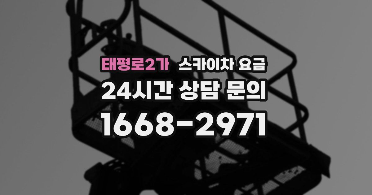태평로2가 스카이차 요금