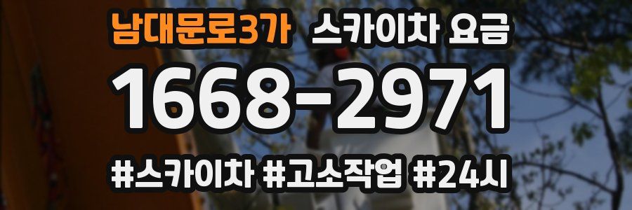 남대문로3가 스카이차 요금