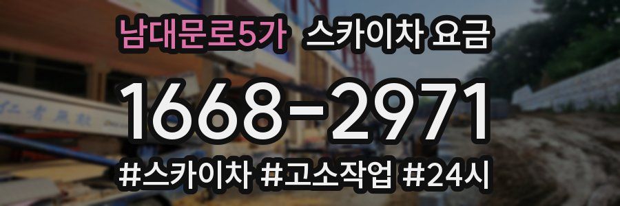 남대문로5가 스카이차 요금