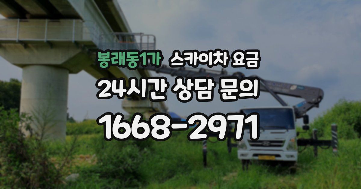 봉래동1가 스카이차 요금