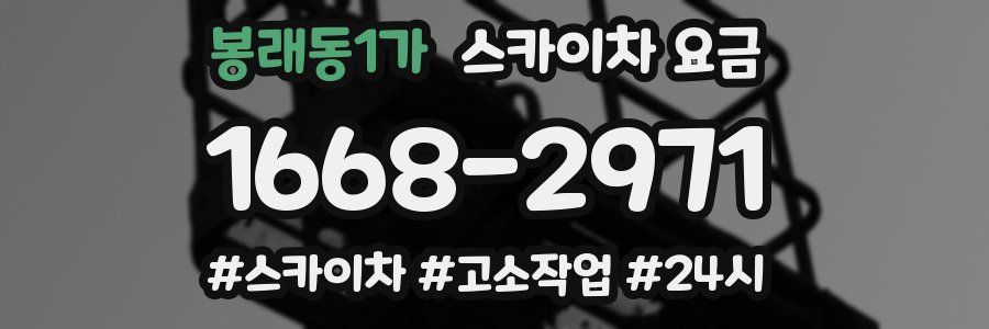 봉래동1가 스카이차 요금