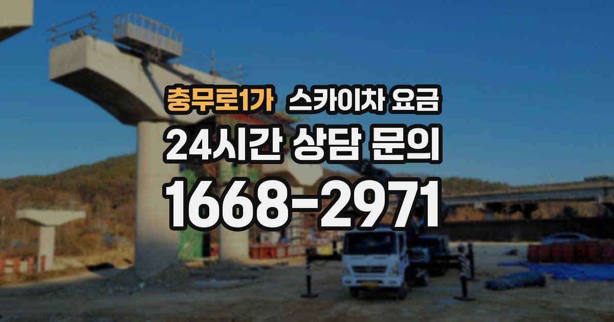 충무로1가 스카이차 요금
