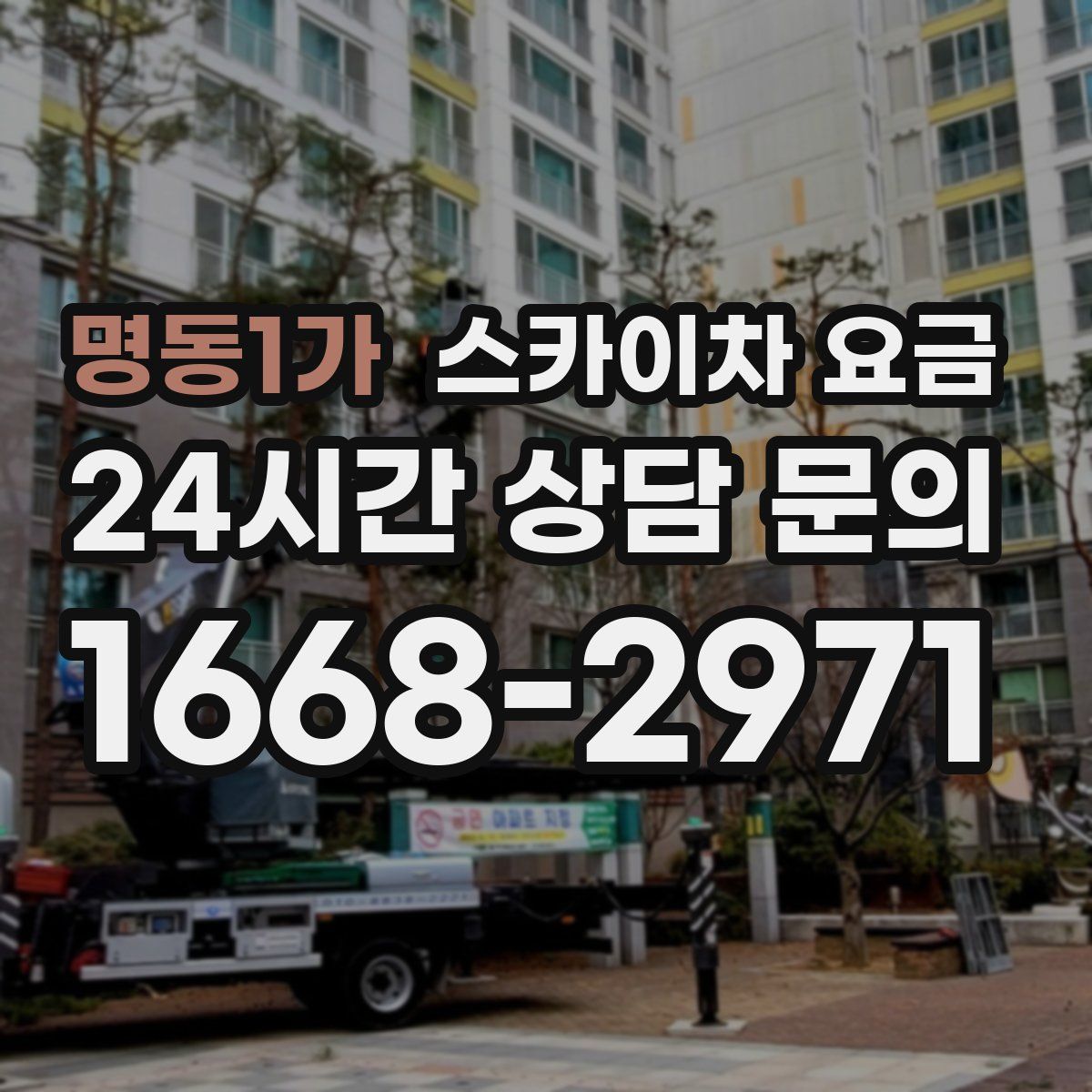 명동1가 스카이차 요금