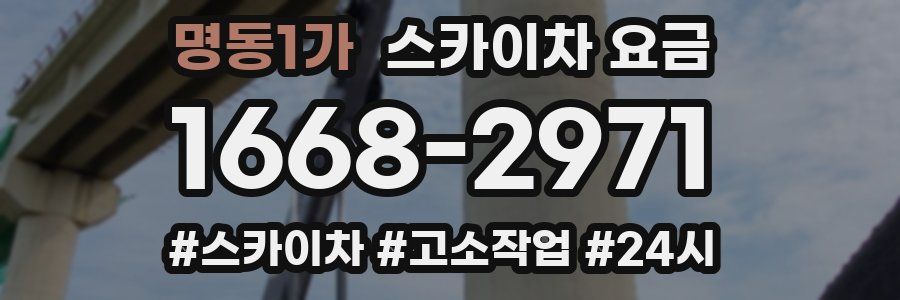 명동1가 스카이차 요금