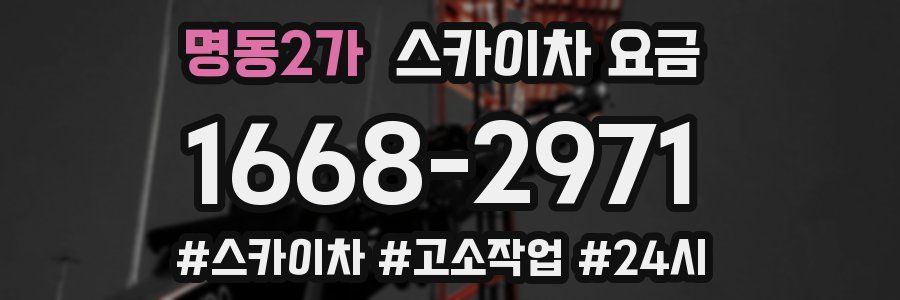 명동2가 스카이차 요금