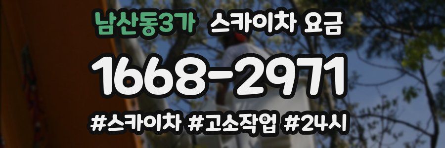 남산동3가 스카이차 요금