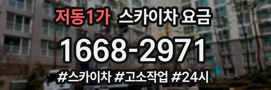 저동1가 스카이차 요금