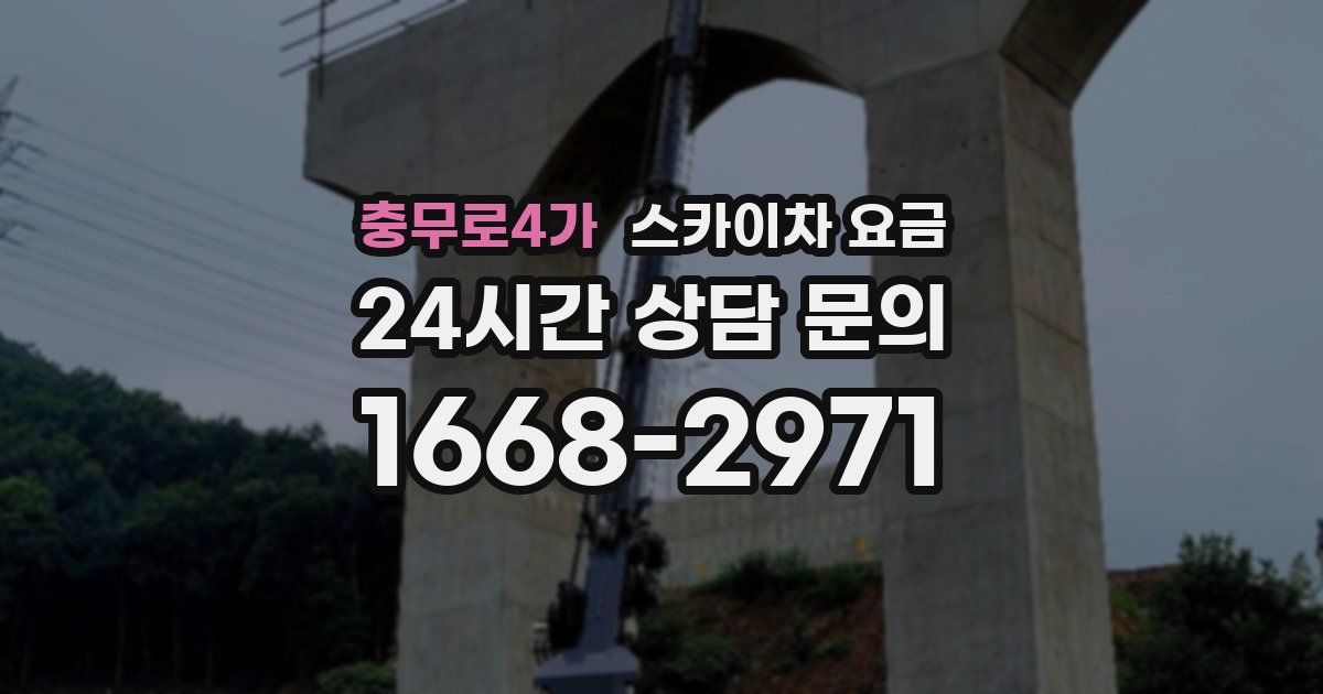 충무로4가 스카이차 요금