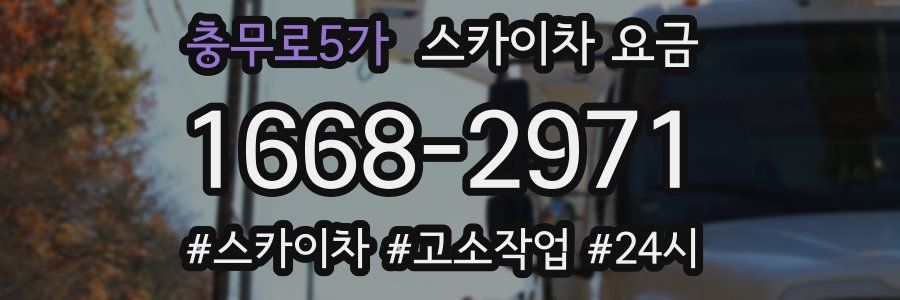 충무로5가 스카이차 요금