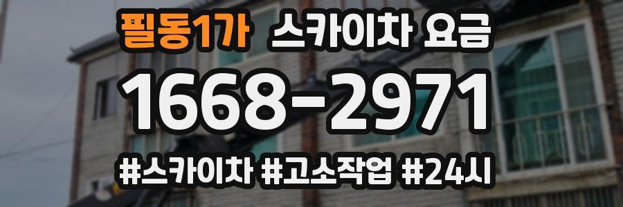 필동1가 스카이차 요금