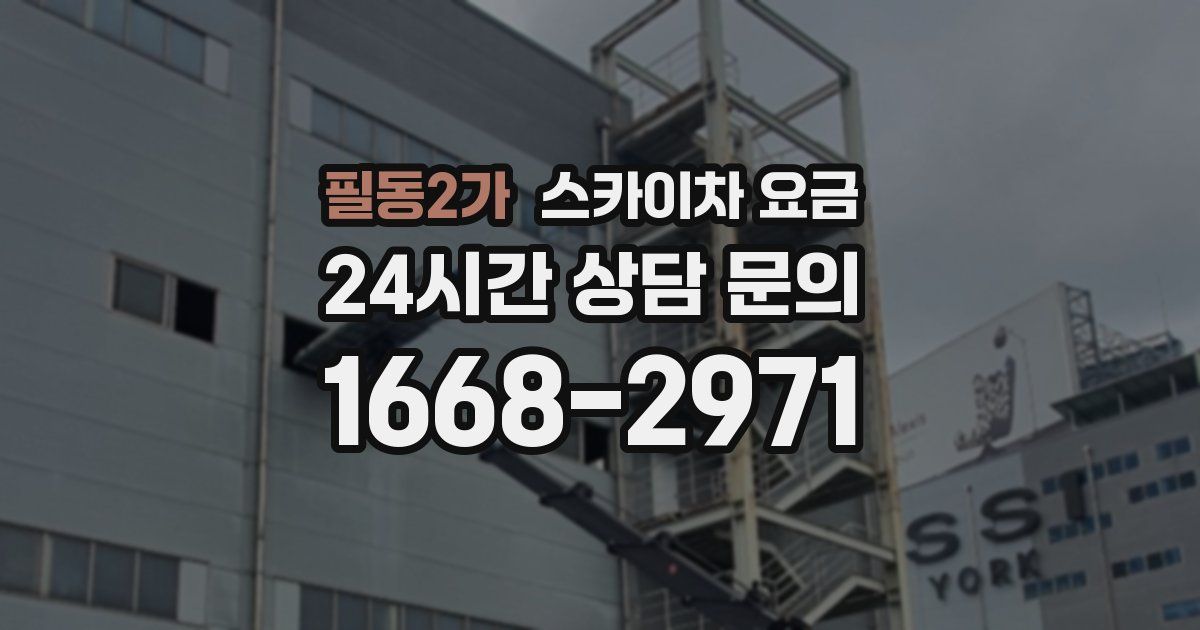 필동2가 스카이차 요금