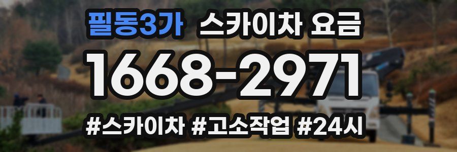필동3가 스카이차 요금