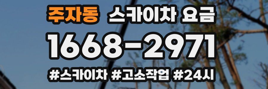 주자동 스카이차 요금