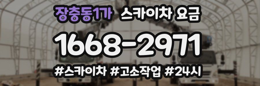 장충동1가 스카이차 요금